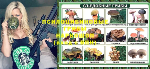 мет Нея