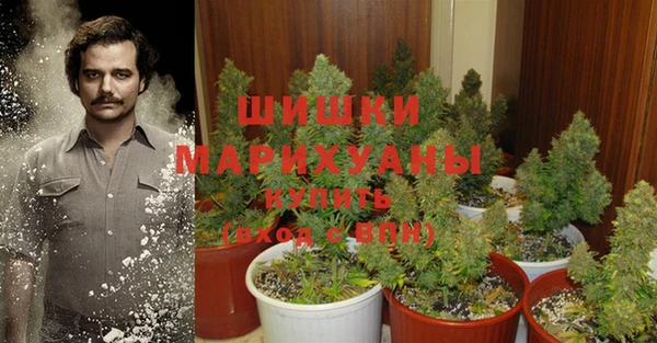 мет Нея