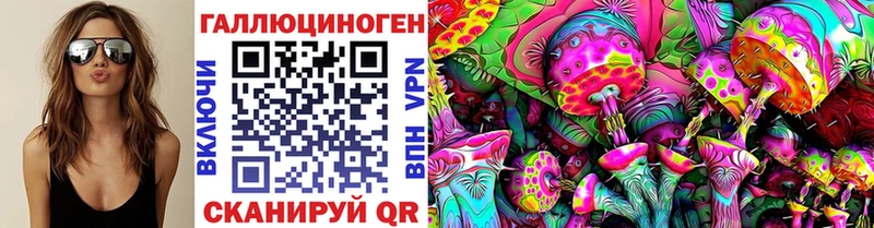 где найти   сайты даркнета клад  Псилоцибиновые грибы Psilocybe  Цоци-Юрт 